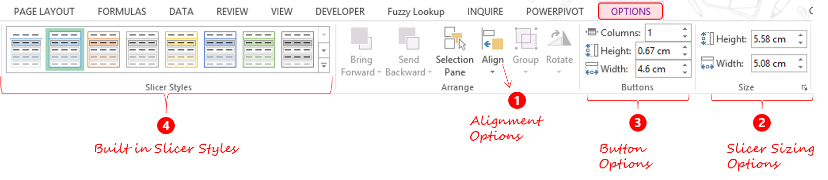 Slicers Formatting Tricks 3